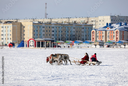 Reindeer sled on the background of city houses in the north of Siberia in the Arctic photo