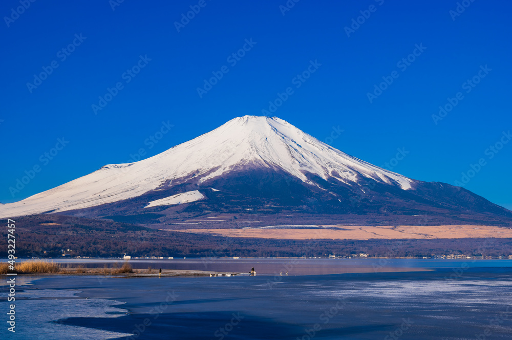 山中湖から眺める冬の富士山 山中湖から眺める冬の富士山