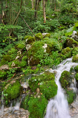 Stream and Rocks with Moss in the Julian Alps, Slovenia
