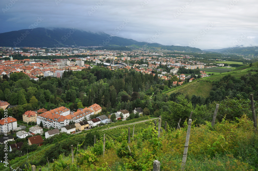 Hills of Maribor and Fields of Vine Plant 