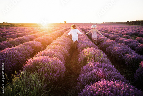 Mom and daughter run together in a purple lavender field. Friendly relations between a teenage girl and the mother of a woman in transition. Two women hold each other's hands.