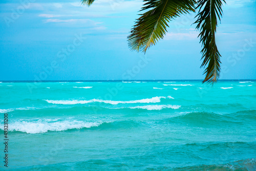 Fototapeta Naklejka Na Ścianę i Meble -  Maldive Islands Sand Beach and green palm foliage view