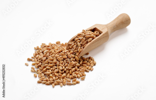 Pearl barley groats in bowls and bags isolated on a white background. High quality photo