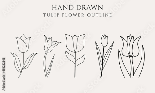 Tulip flower graphic black white isolated sketch illustration vector photo