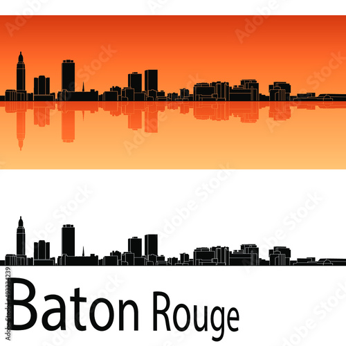 skyline in ai format of the city of baton rouge