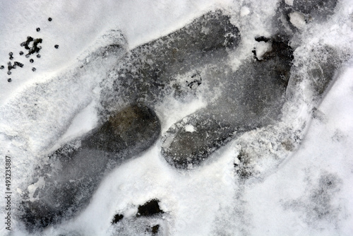 Unusual human footprints from shoes on a white snow road in winter.  © Daria Katiukha
