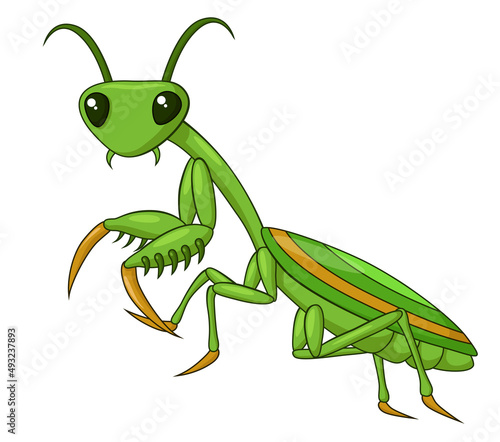 Adorable Praying Mantis Cartoon. Vector Illustration
