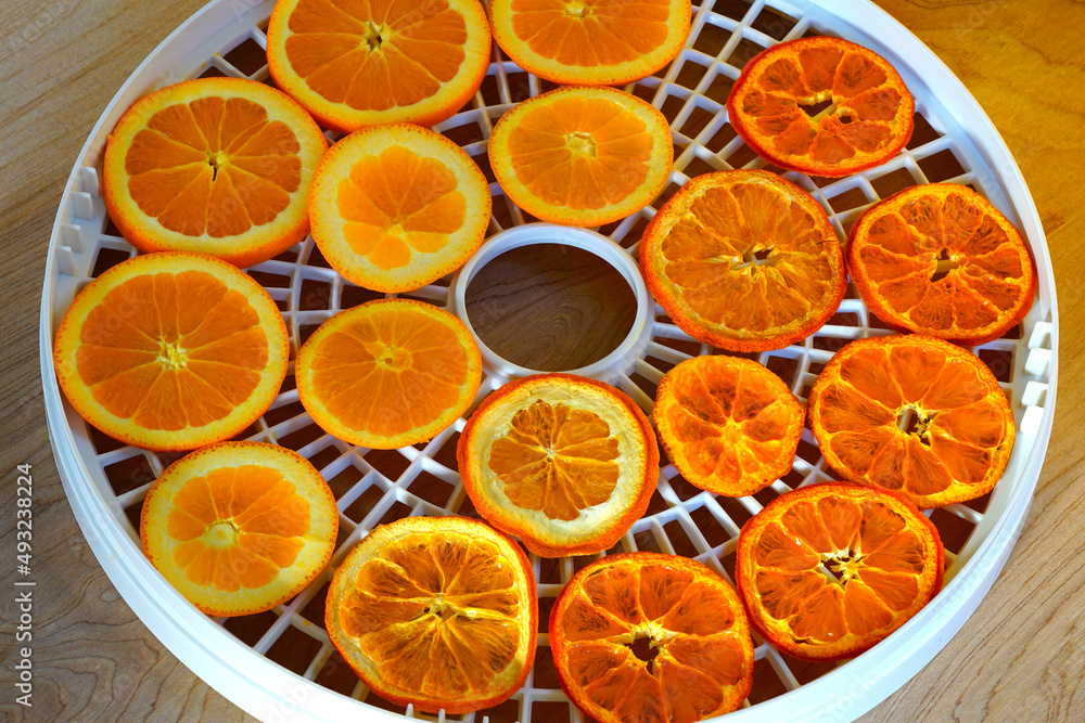 Fresh and dried orange slices (before and after) a dehydrator tray Fresh and dried orange slices (before and after) a dehydrator tray