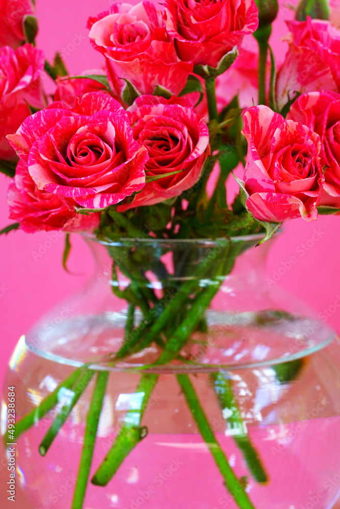 Bouquet of bicolor pink and purple roses Bouquet of bicolor pink and purple roses