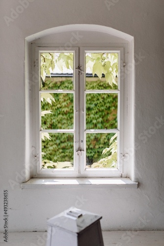 Fenster