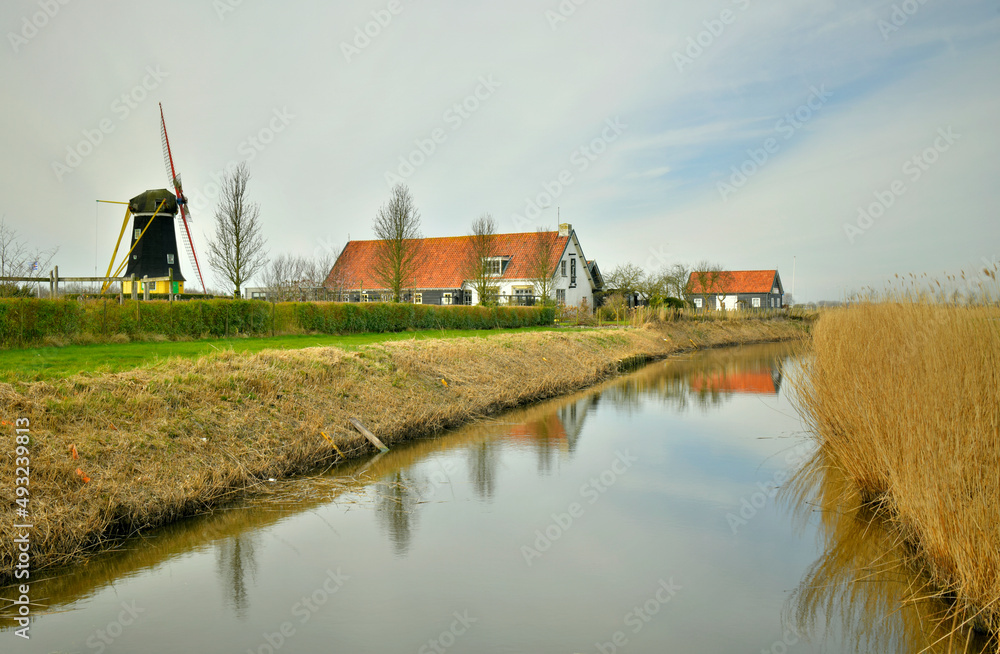Fototapeta premium Eine typische Windmühle mit Bauernhäuser an einem Wasserlauf in den Niederlanden.