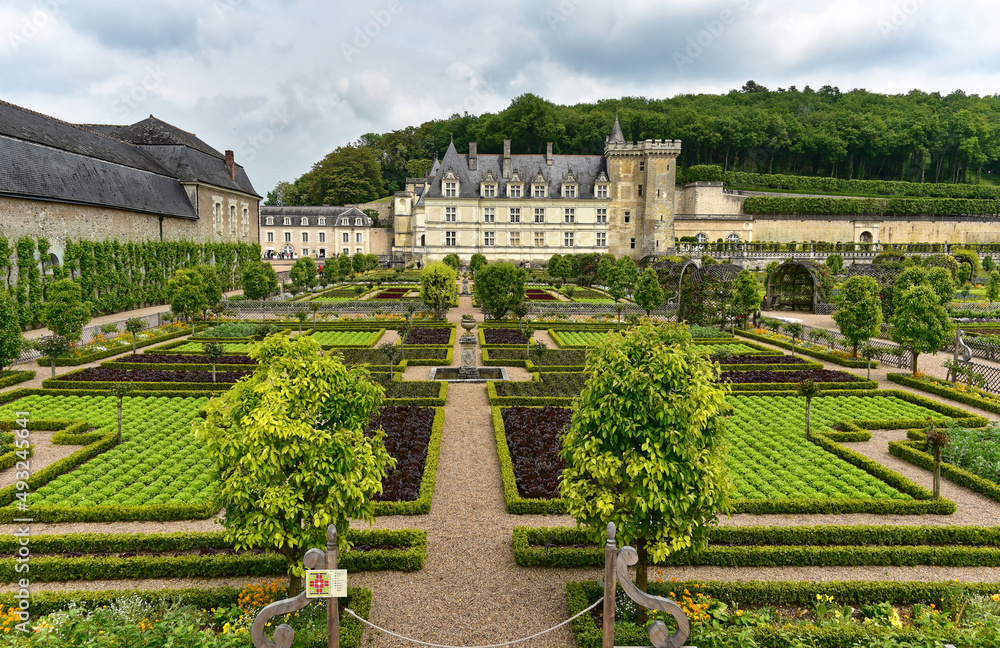 Frankreich - Villandry - Schloss Villandry - Schlossgarten & Parkanlage