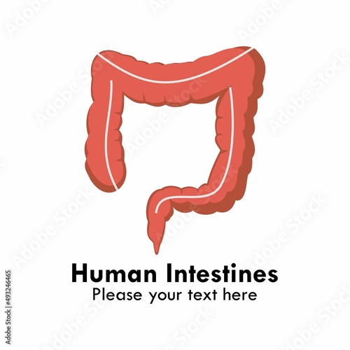 Human intestines logo design template illustration. suitable for anatomy, biology, human, medical