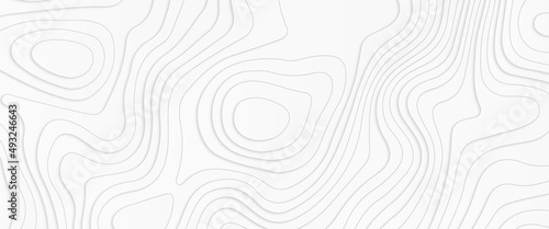 Creative vector illustration of topographic map. Art design contour background, monochrome image. 3D waves. cartography Background. Map mockup infographics. Wavy backdrop. 
