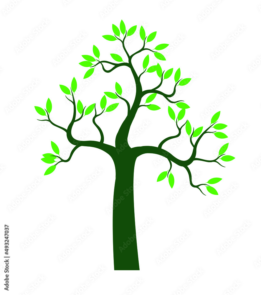 Green Tree with Leaves. Vector outline Illustration. Green Tree with Leaves. Vector outline Illustration.