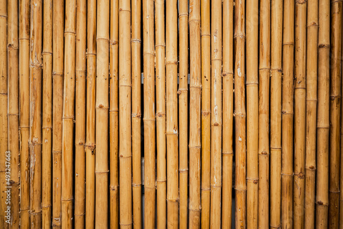Yellow bamboo old fence. Close up of bamboo wall texture background for interior or exterior design.
