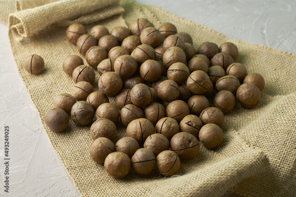a macadamia nuts on burlap background backdrop a macadamia nuts on burlap background backdrop