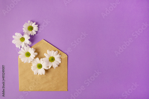 Craft envelope with camomile, white chrysanthemums on purple background. Top view. Greeting card concept for valentine's day, wedding or mother's day, women's day. © Nikolay Kravchenko