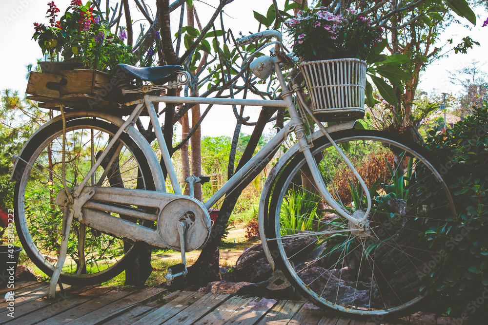 Old vintage white bike or bicycle with colorful flower pot.