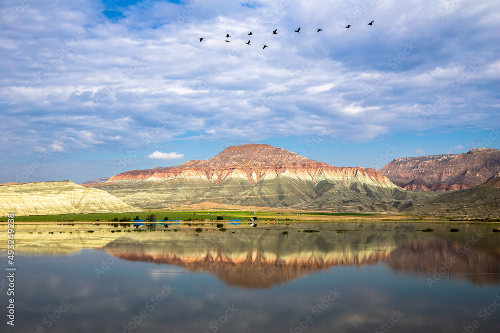 View of flock of birds on lake with colorful mountains,Turkey country