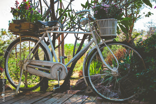 Old vintage white bike or bicycle with colorful flower pot.