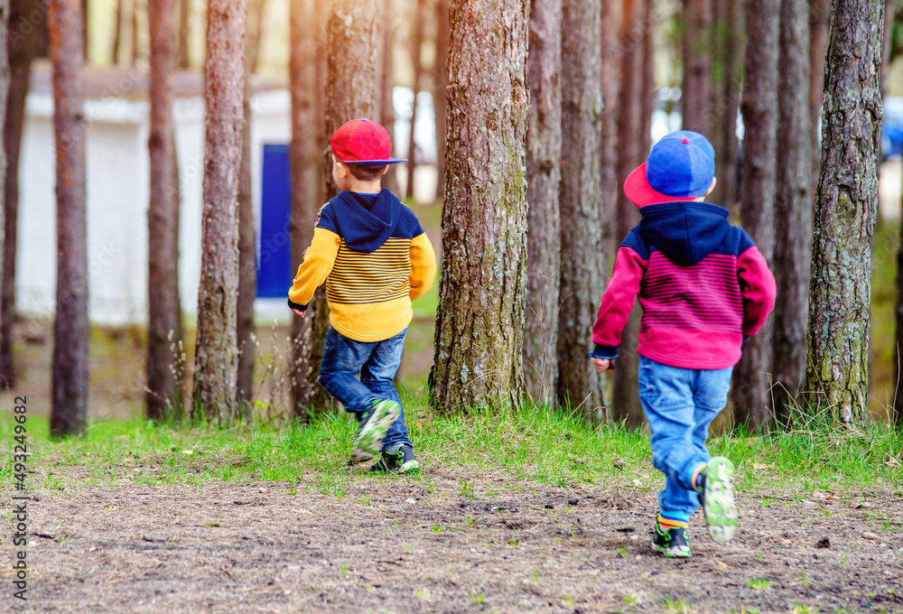 Two boys take a walk in the woods
Two boys take a walk in the woods