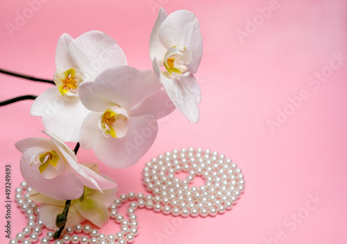 Pearl necklace and white orchid on pink background 