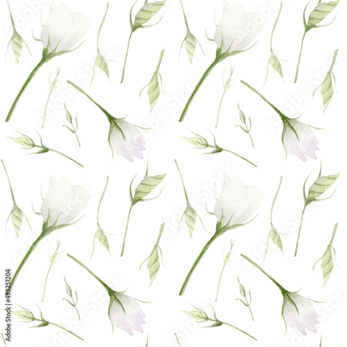 Watercolor seamless pattern with eustoma buds on white background