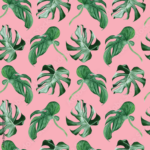 Watercolor seamless pattern with monstera leaves on pink background