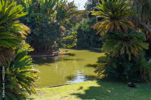 Lake in the Botanical Garden of Lisbon in Portugal