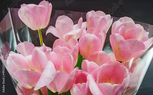 Bouquet of pink tulips with artistic treatment