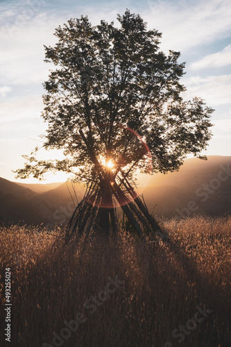 A beautiful highlight in the form of a circle against the background of a lonely autumn tree in mountainous Dagestan.