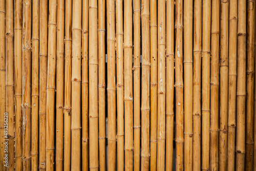 Yellow bamboo old fence. Close up of bamboo wall texture background for interior or exterior design.