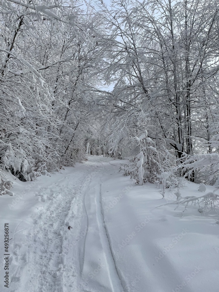 snow covered road snow covered road