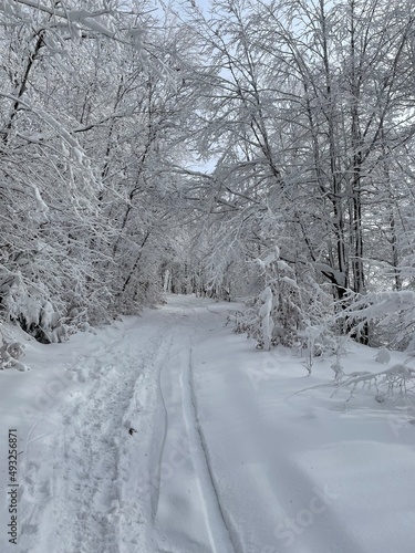 snow covered road © Tom