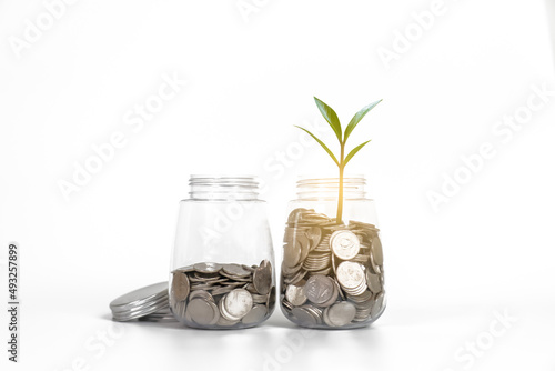 Saving money in jars and plant represent the growing more amount.