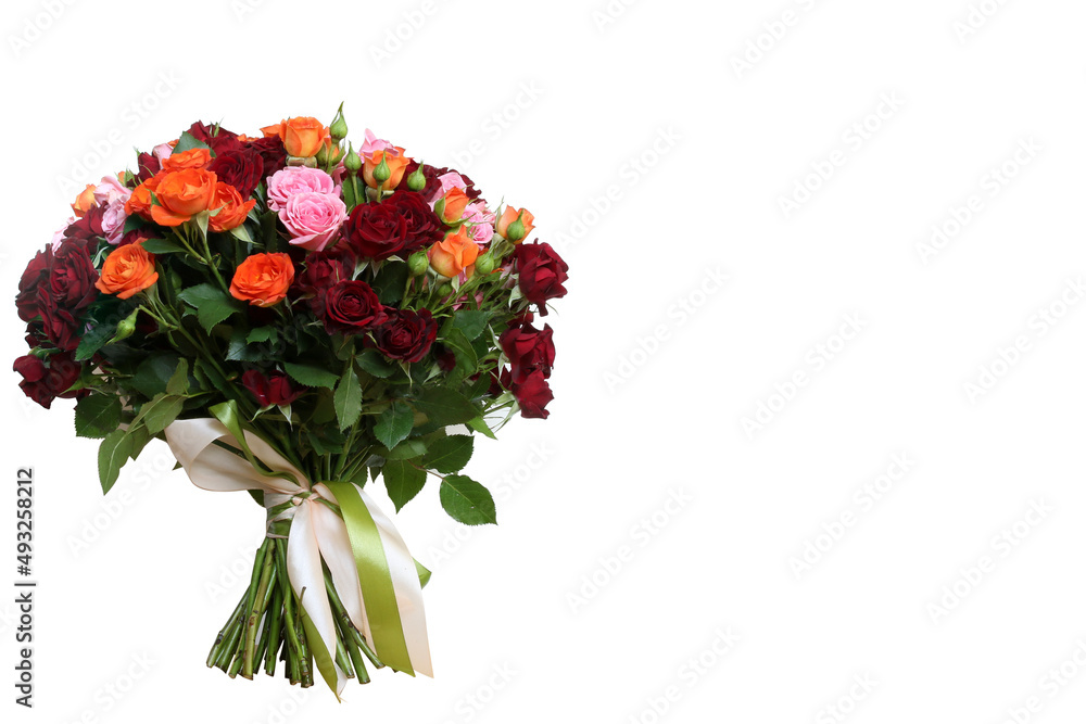 Big beautiful bouquet of fresh roses. Scarlet, burgundy and pink roses tied with green and cream ribbons. Isolated on white background. Lateral location.