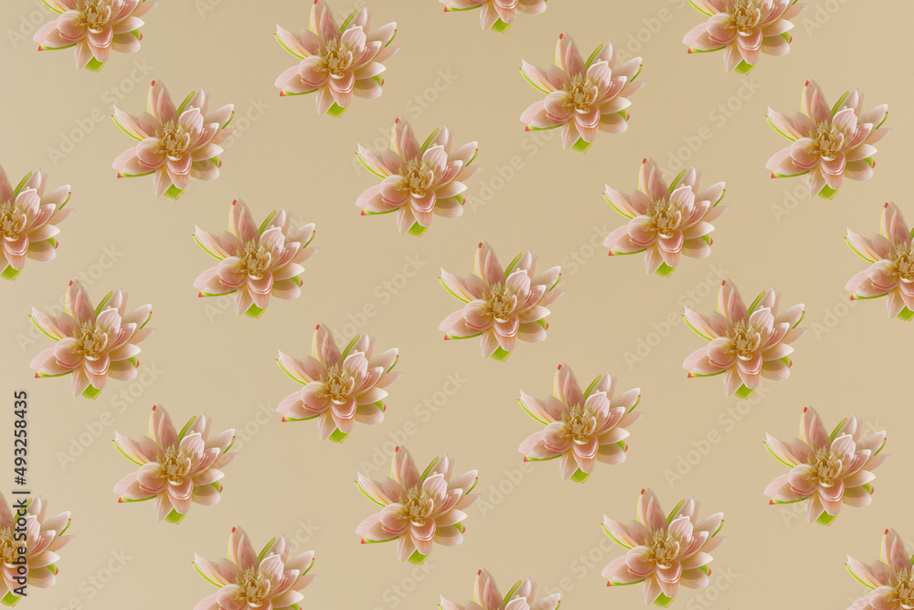 Gentle pink lotus flower pattern on bright beige background. Minimal layout. Spring, nature and beauty concept. Purity, enlightenment, self-regeneration and rebirth concept.