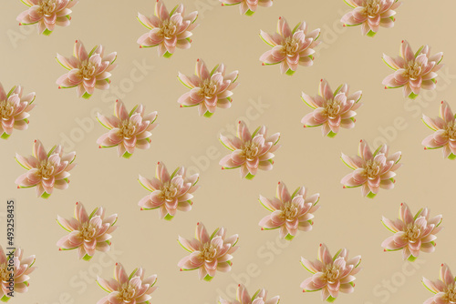 Gentle pink lotus flower pattern on bright beige background. Minimal layout. Spring, nature and beauty concept. Purity, enlightenment, self-regeneration and rebirth concept.