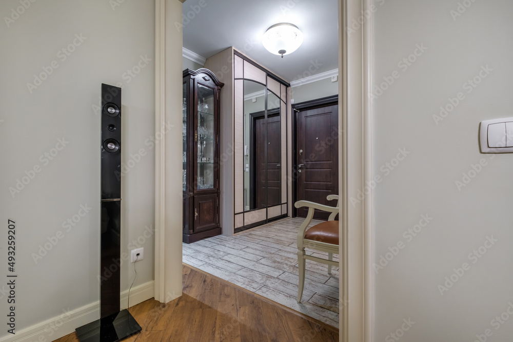 door in modern entrance hall of corridor in apartments door in modern entrance hall of corridor in apartments