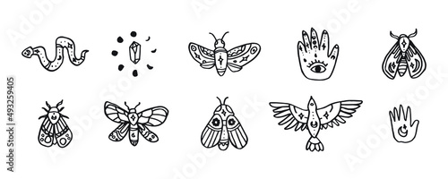 Boho style hand drawn illustration. set of mystic doodle for tattoo design. logo icons in tarot style. Abstract vector illustration.
