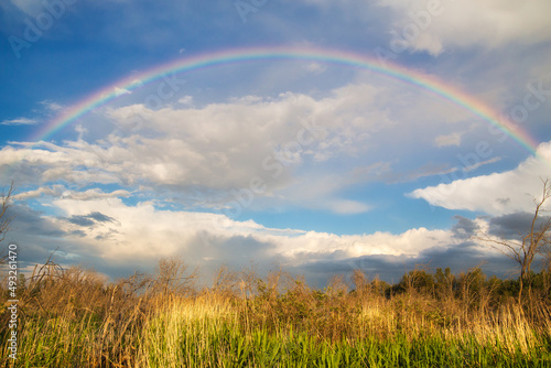 A colorful rainbow in a cloudy sky arching over a marsh in a countryside summer landscape