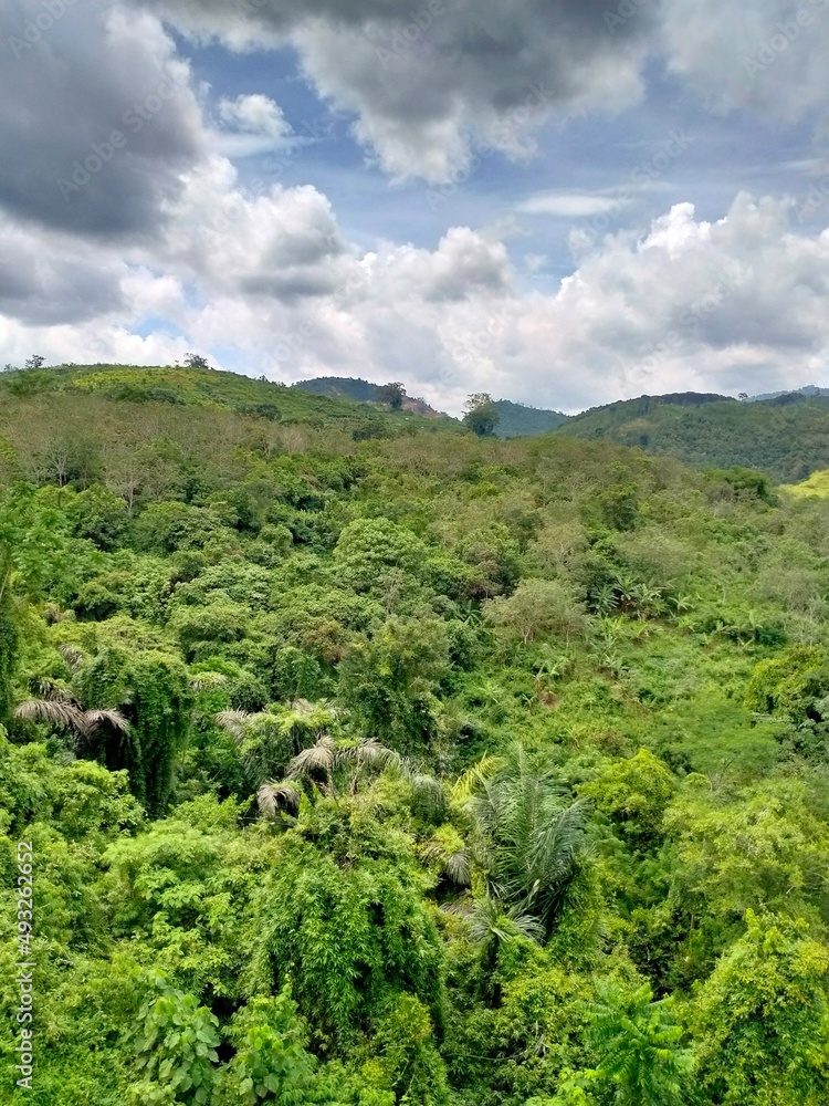Obraz premium landscape with trees and clouds