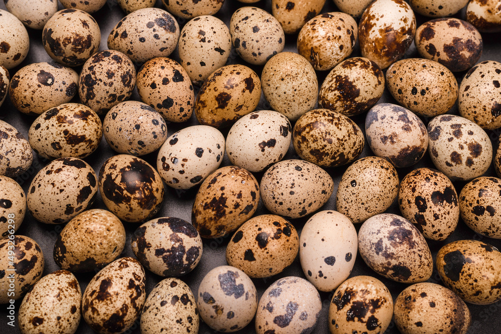 Group of quail eggs as a background. Raw eggs. Group of quail eggs as a background. Raw eggs.