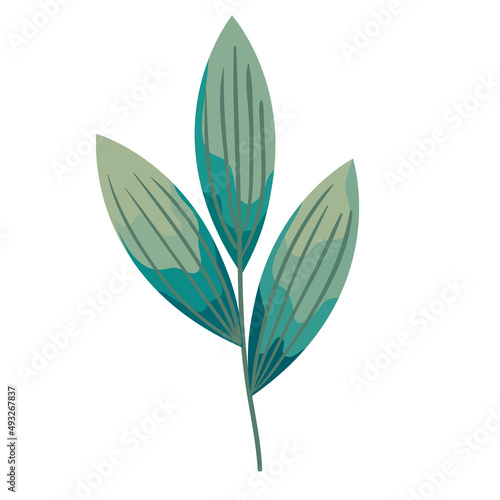 branch with three leaf green