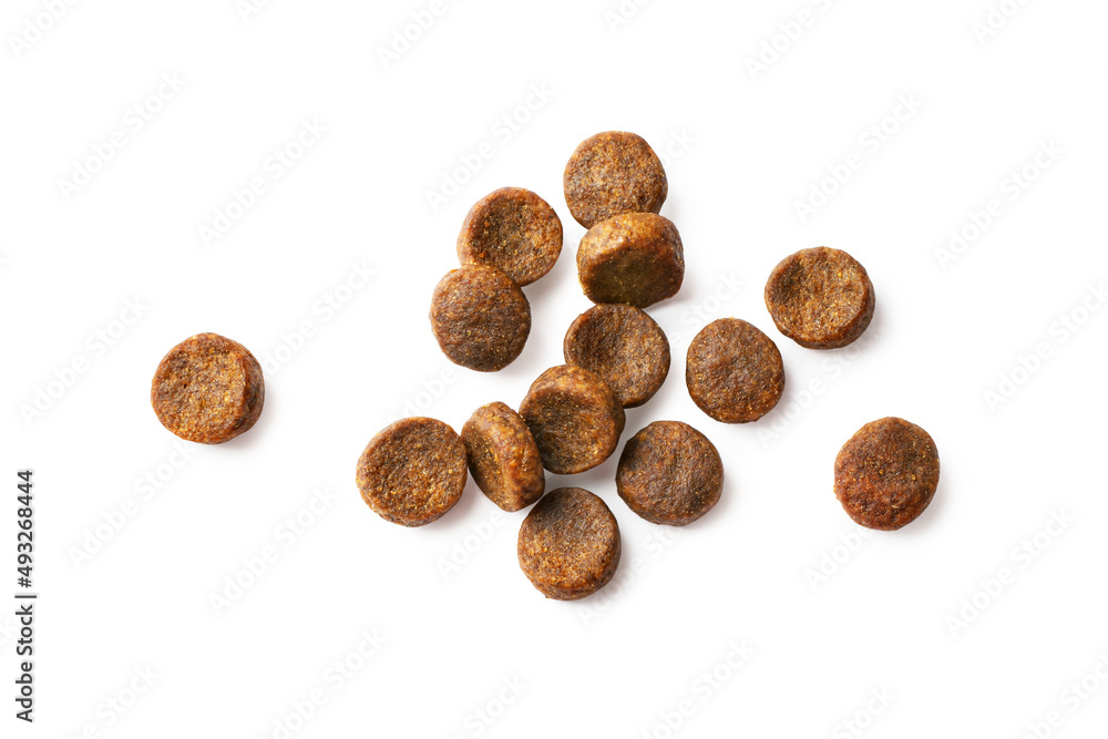 Dry food for dogs. View from above Dry food for dogs. View from above