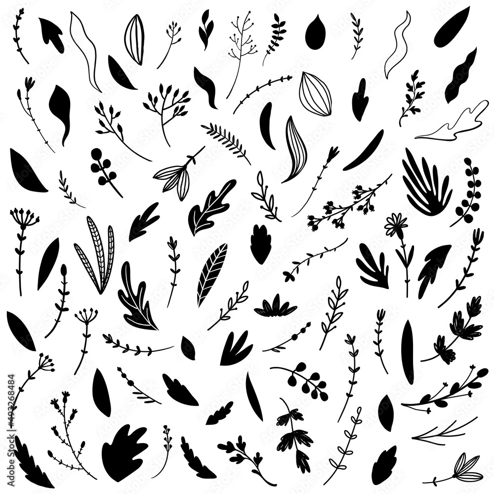 Plants and herbs. Set of icons on a white background