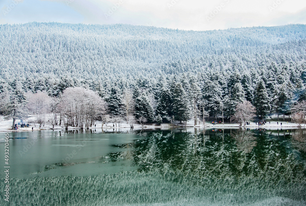 Lake Golcuk in the Winter Season, Golcuk National Park Bolu Turkey