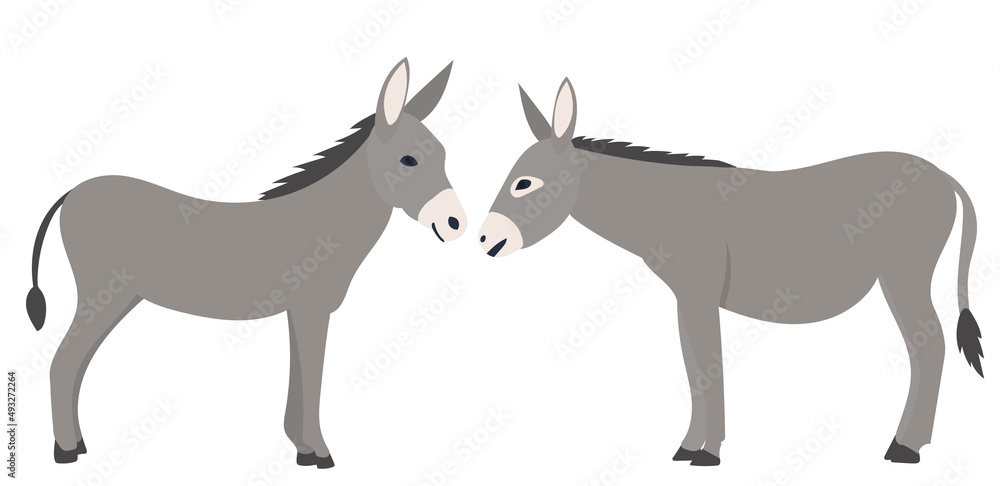 donkey gray flat design, isolated, vector