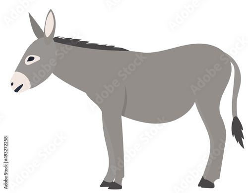 donkey gray flat design, isolated